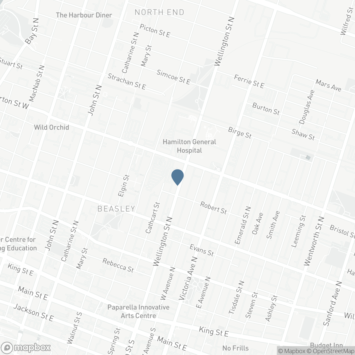 249 WELLINGTON STREET N, Hamilton, Ontario L8L 5A7